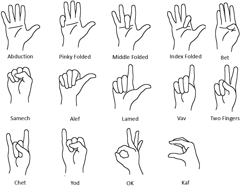 14 different hand gestures including Abduction, Pinky Folded, Middle Folded, Index Folded, Bet, Samech, Alef, Lamed, Vav, Two Fingers, Chet, Yod, OK, and Kaf